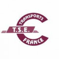 TSE
