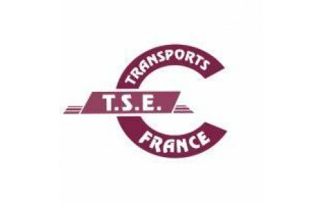 TSE